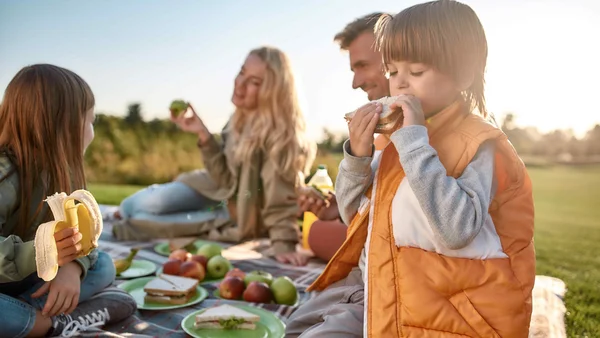 Familie beim gesunden Picknick