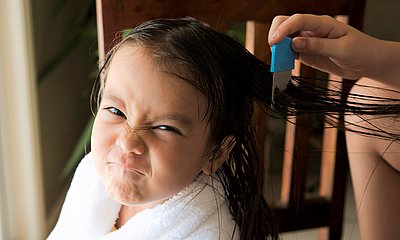 Jungem Mädchen werden die Haare mit einem Läusekamm gekämmt