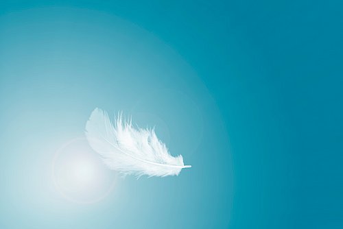 Weiße Feder vor einem blauem Himmel