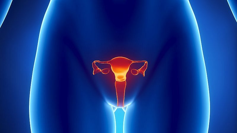 Position des Uterus im weiblichen Körper