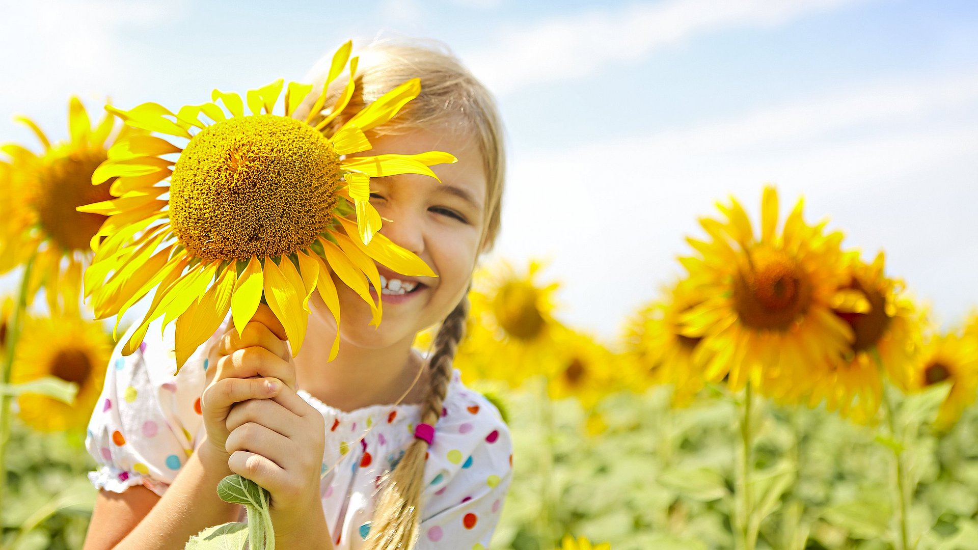 Mädchen mit Sonnenblumen