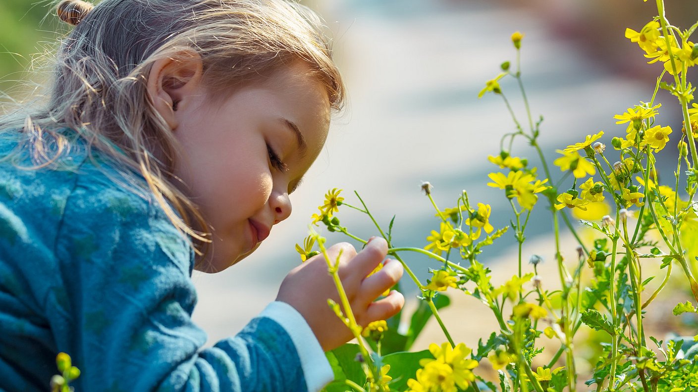 Kleiner Junge riecht an Butterblumen